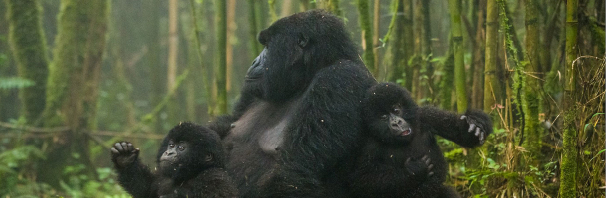 rwanda3